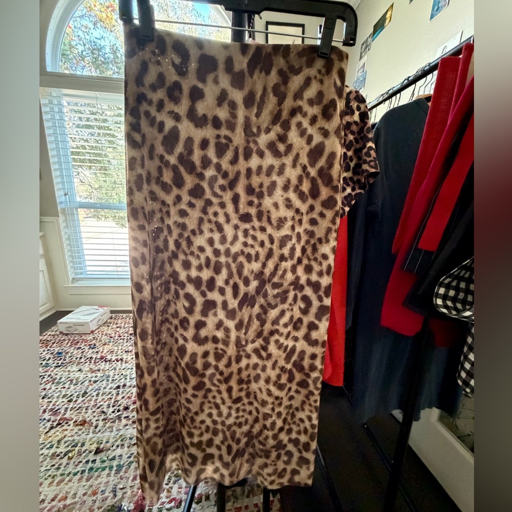 Zara Leopard Print skirt